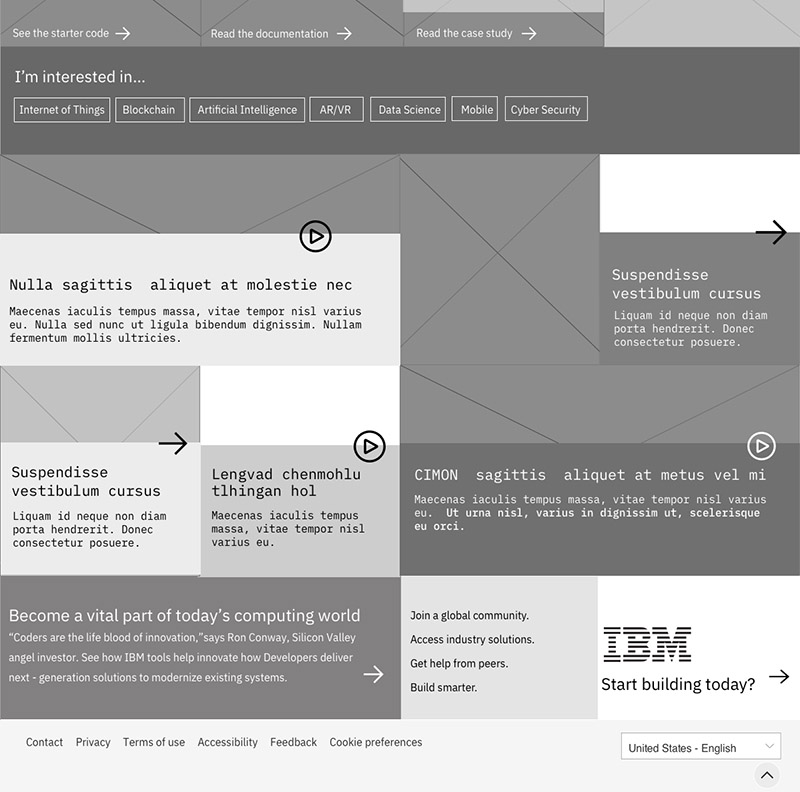 IBM Developer campaign