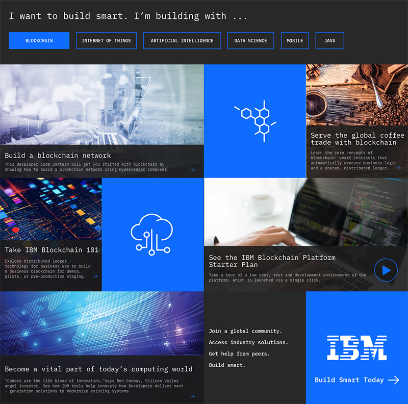IBM Developer campaign